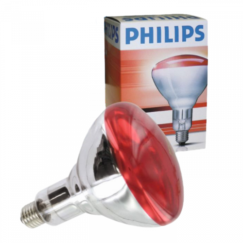 sectie Sporten rok Philips Warmtelamp met rood licht